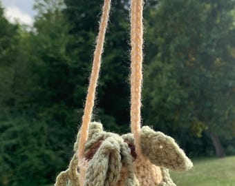 crochet hanging plant