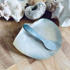 Black Lip Oyster Shell Caviar Dish with Spoon. Mother of Pearl Condiment Server.