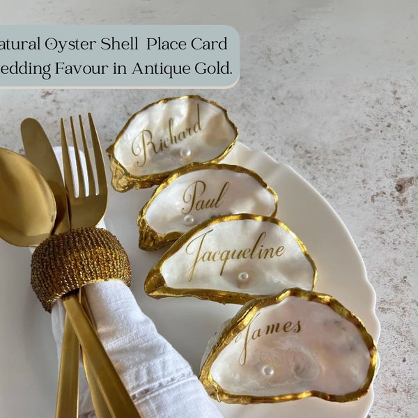 Wedding Shells - Etsy