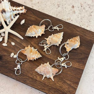 May include: Five keychains featuring natural tan and cream-coloured spiral seashells attached to silver-toned metal split rings and lobster claw clasps. Each shell has a unique textured surface with small ridges and points, arranged on a dark wood surface.
