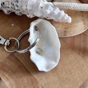 Austernmuschel Schlüsselanhänger.  Natürliche Strand Taschenanhänger, Küsten Schlüsselanhänger gefallen.