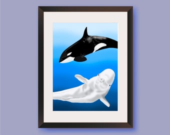 Orca & Beluga Whale Art Print, Marine Animal Illustration (A4)