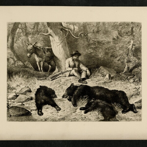 John Muir Poster - Etsy