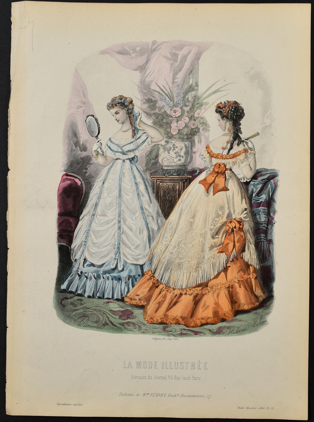 Ladies Fashion Print - 