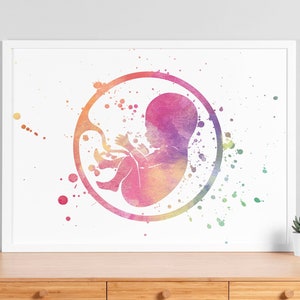 Cartel de acuarela del bebé en el útero, arte de la pared de la clínica, nueva mamá, obstetra obstetra, obstetra, obstetra, regalo de baby shower, decoración de la guardería - V61