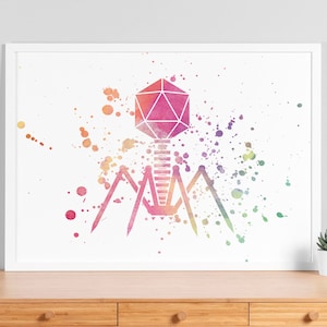 Puede incluir: Una impresión de acuarela de un bacteriófago, un virus que infecta bacterias. El bacteriófago se representa en un estilo geométrico con un esquema de color rosa, naranja y amarillo. El fondo es blanco con salpicaduras de acuarela de colores.