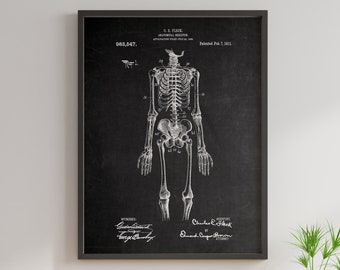 Human Skeleton Antique Anatomy Wall Art Poster Human Skeleton Poster ...