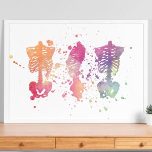 Watercolor Orthopedic Skeletal System Poster - Human Anatomy Print Decor, Medical Clinic Wall Art, Hospital Decor, Medical Student Gift, V95