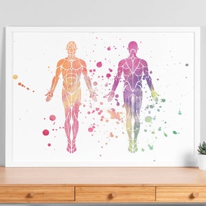 Watercolor Muscular System Poster - Human Anatomy Orthopedic Body System Print, Medical Clinic Wall Art, Decor, Medical Student Gift - V92