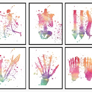 Watercolor Human Skeletal System Set of 6 - Human Anatomy Print, Clinic Wall Art, Orthopedic Doctor, Assistant and Medical Student Gift V116