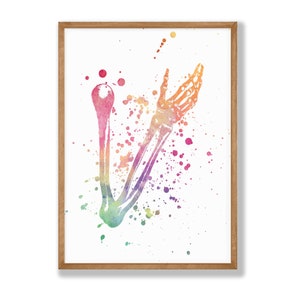 Watercolor Arm Anatomy Skeletal System Print, Human Anatomy Print, Clinic Wall Decor, Medical Wall Art, Medical Student Gift V2
