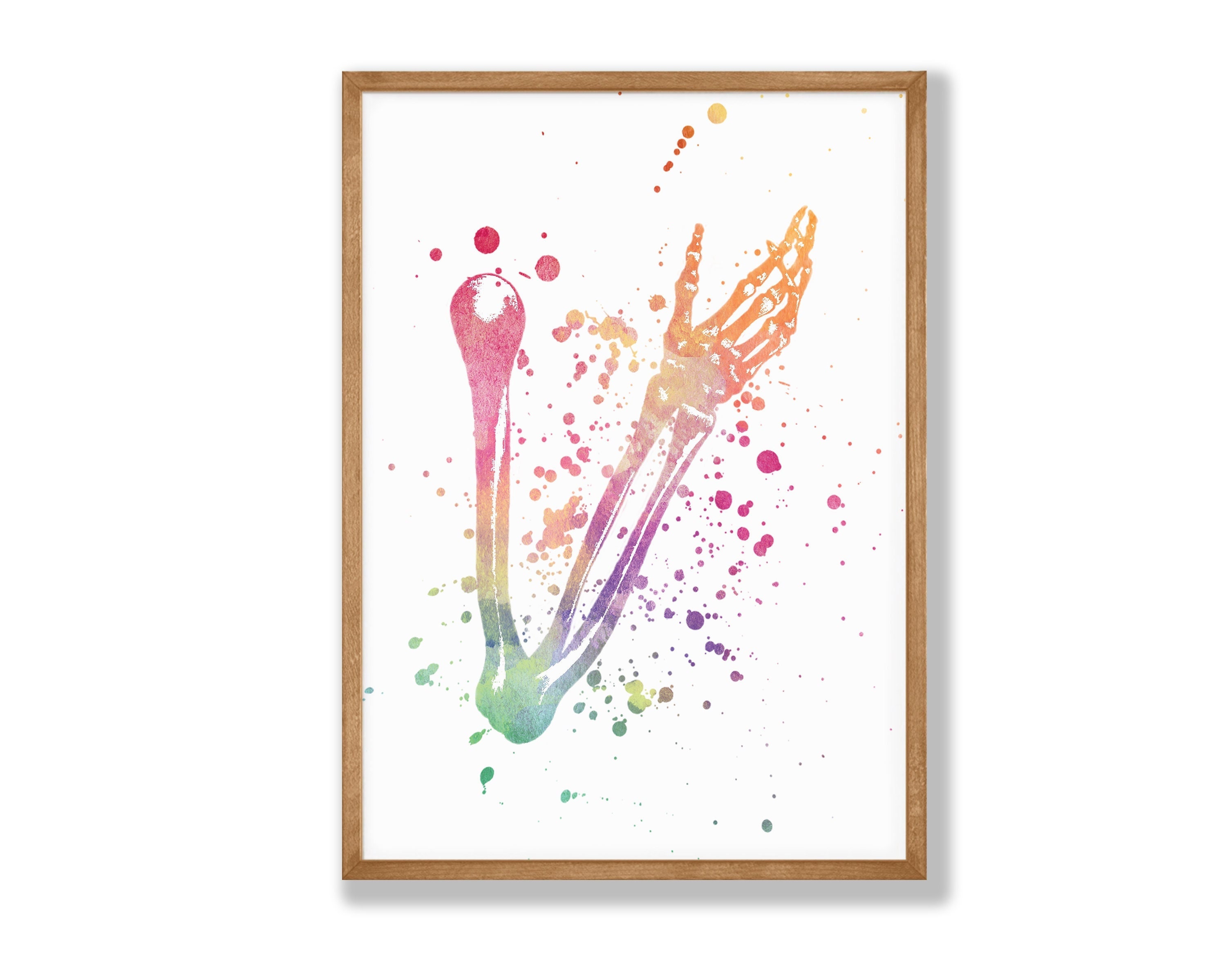 Watercolor Arm Anatomy Skeletal System Print, Human Anatomy Print ...