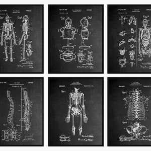 Anatomy Patent Prints Set Of 6 - Medical School Decor • Medical Student Gift • Clinic Decor • Anatomy Wall Art • Medical Wall Art