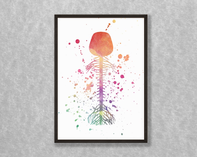 Watercolor Brain Spinal Cord Print Brain Wall Art Science - Etsy