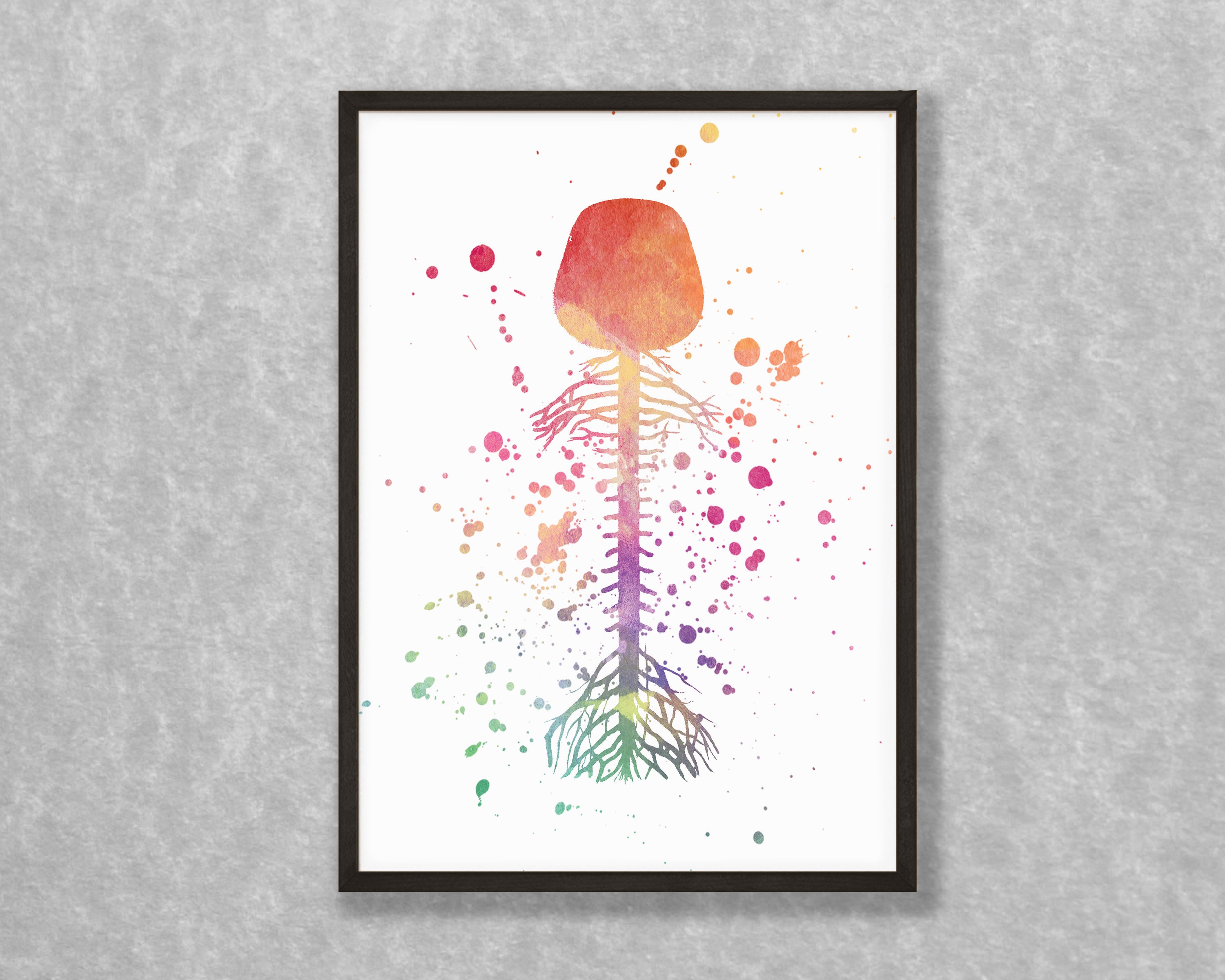 Watercolor Brain Spinal Cord Print - Brain Wall Art, Science Gift ...