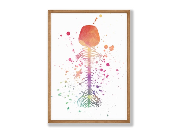 Watercolor Brain Spinal Cord Print Brain Wall Art Science - Etsy
