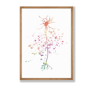Watercolor Nerve Cell Print - Brain Print, Human Anatomy Print, Anatomy Decor, Clinic Wall Decor, Medical Wall Art, Medical Student Gift,