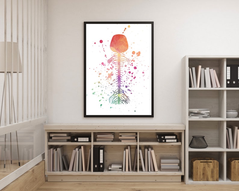 Watercolor Brain Spinal Cord Print Brain Wall Art Science - Etsy
