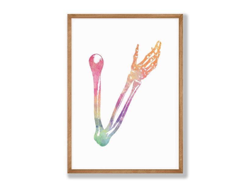 Watercolor Arm Anatomy Skeletal System Print, Human Anatomy Print ...