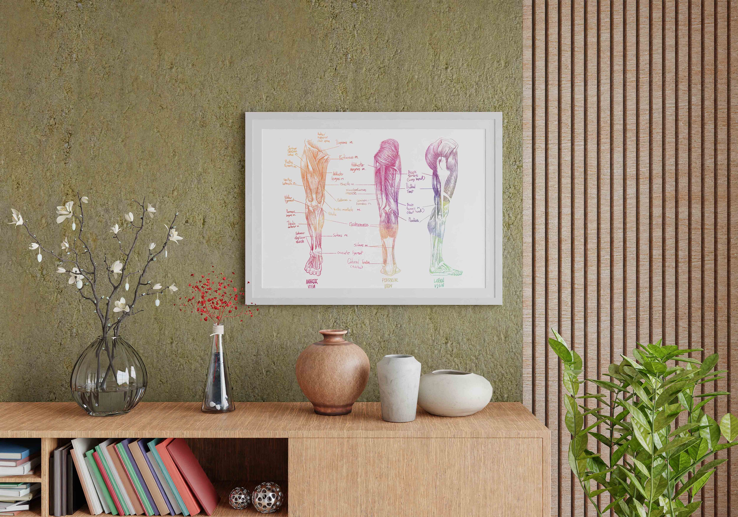 Watercolor Sketch Muscular System Poster - Human Anatomy Orthopedic ...