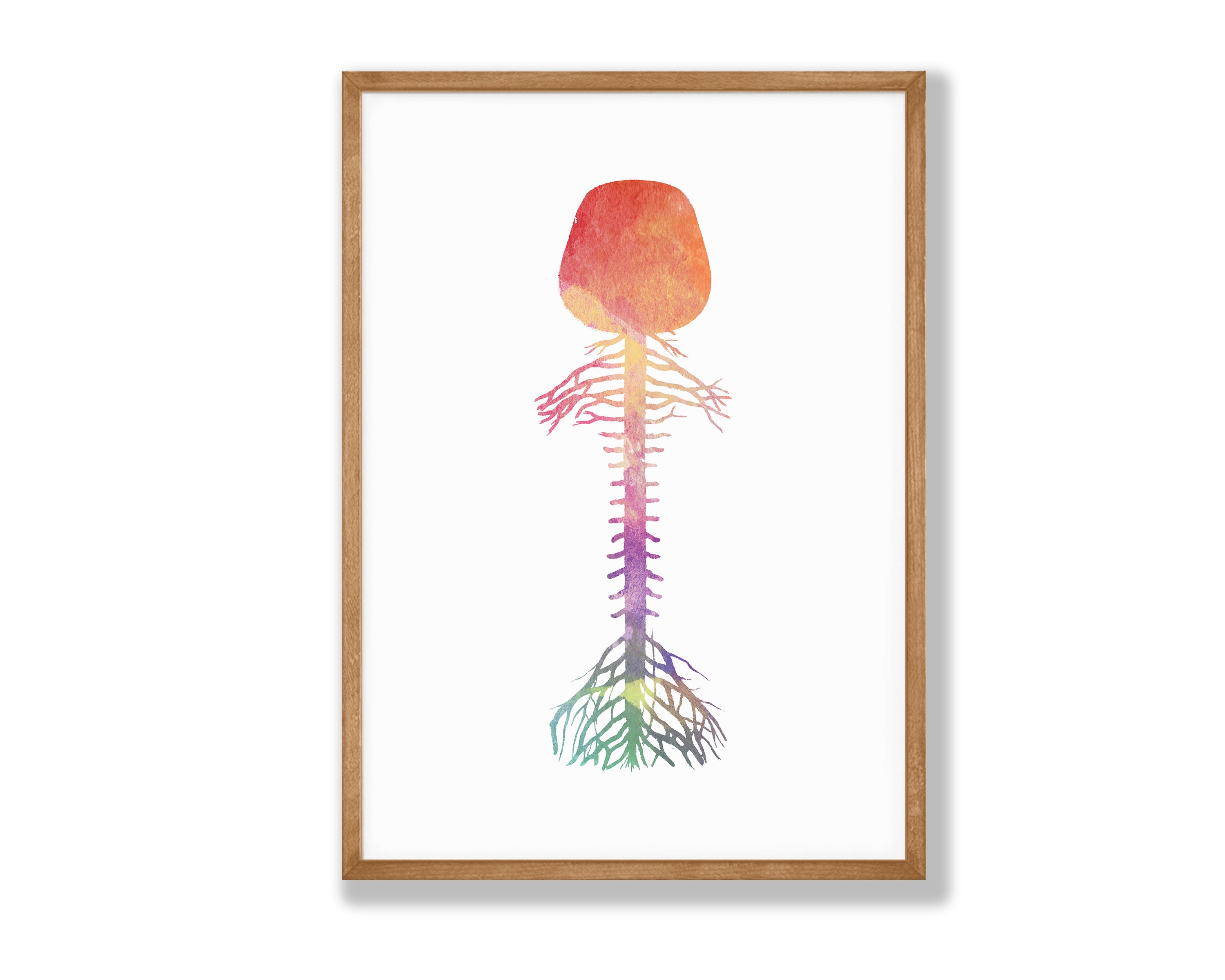 Watercolor Brain Spinal Cord Print - Brain Wall Art, Science Gift ...