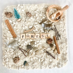 Personalized Forest Sensory Bin (Square Bin)