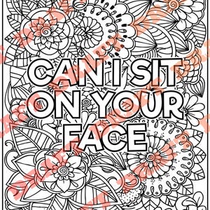 Pagine da colorare per adulti, pagine da colorare con frasi sconsiderate, PDF stampabili, download immediato, solo PDF DIGITALE