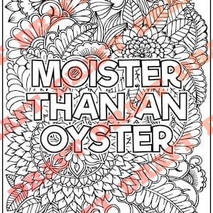 Adult Coloring Pages, Unhinged Phrases Coloring Pages, Printable PDF, Instant Download, 10 Pages DIGITAL PDF Only image 6