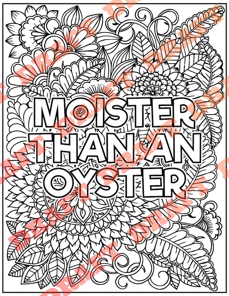 Adult Coloring Pages, Unhinged Phrases Coloring Pages, Printable PDF, Instant Download, 10 Pages DIGITAL PDF Only image 6