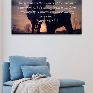 Inspiring bible verse, cows, cattle, stars