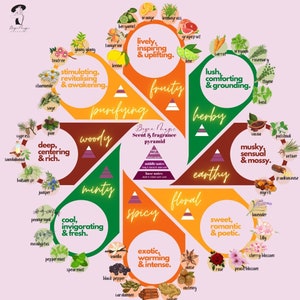 Duft- und Duftmischung Karte und Layer Pyramide Poster mit beliebten Rezepten und Mischungen