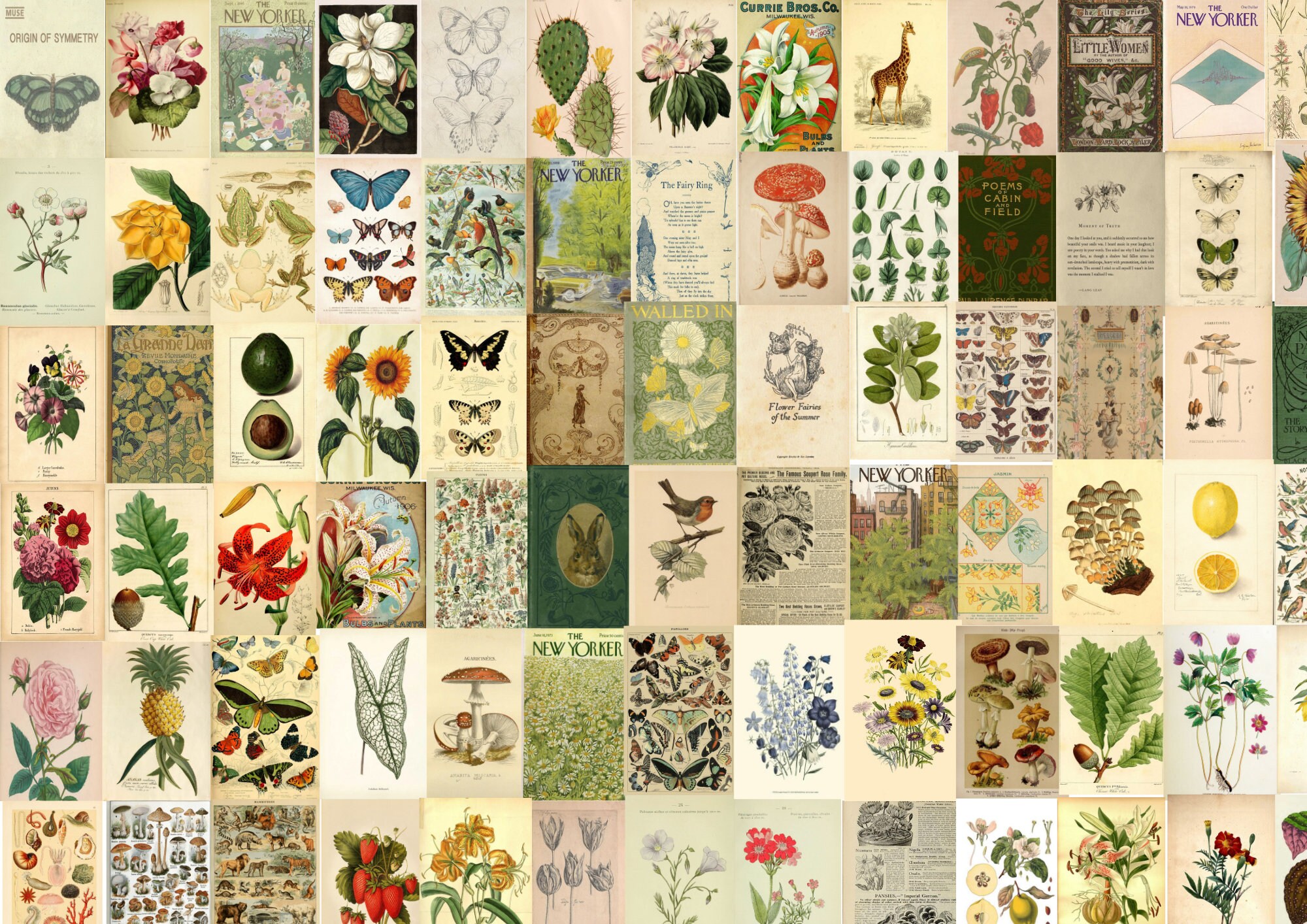 200 PCS Botanical Wall Collage Kit Botanical Prints Wall - Etsy
