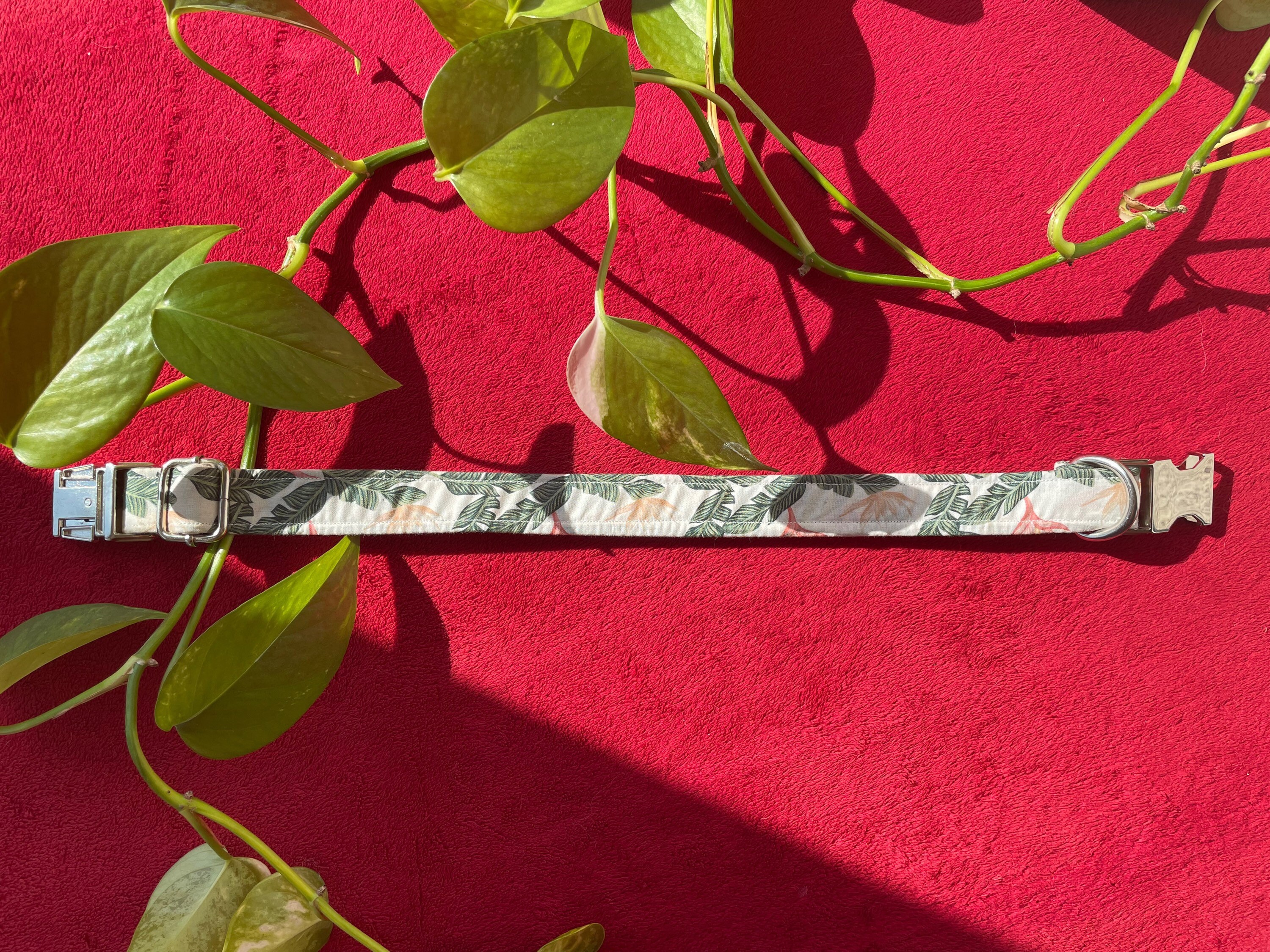 Collier Tropical | Collier Pour Animaux