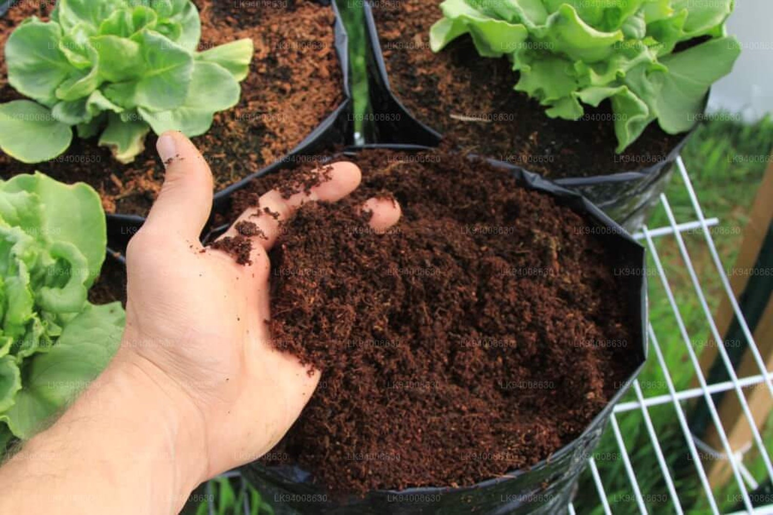 Compost Cocopeat Organic Soil Hydroponics Substrate Coco Etsy