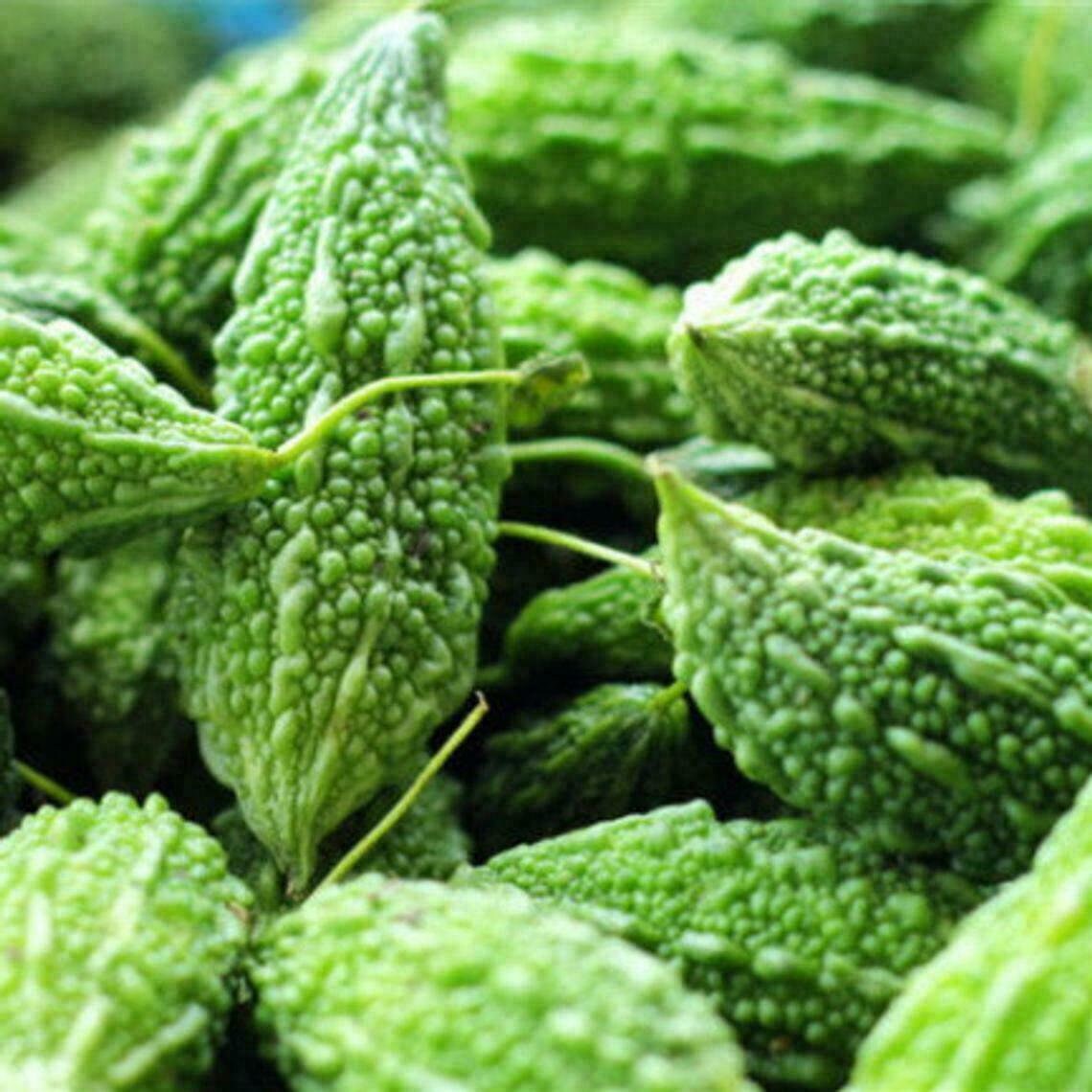 Organic Pure 100 Bitter Gourd Powder Fast Postage Vegan Etsy