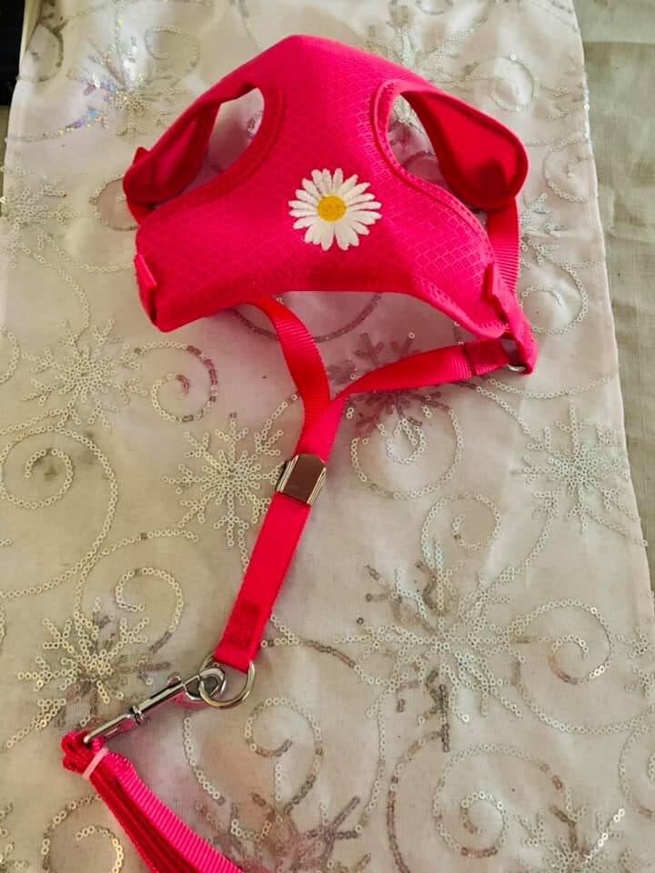 Beautiful Pink Daisy Dog Harness Etsy UK