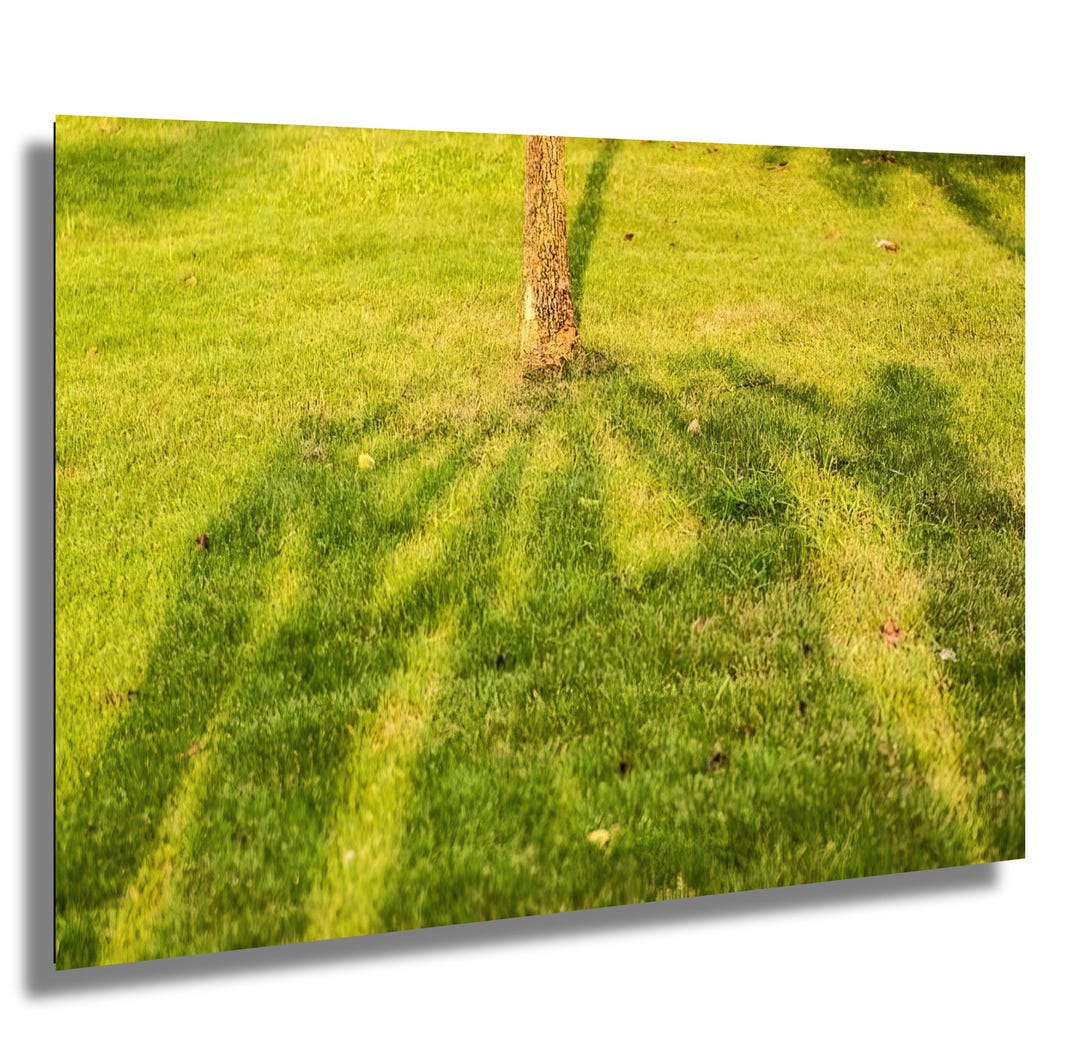 Teamwork Tree Shadow Art | Hands Joined in Unity Print | Collaborative ...