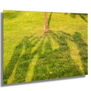 Teamwork Tree Shadow Art | Hands Joined in Unity Print | Collaborative Effort Wall Deco | Nature-Inspired Support Photography