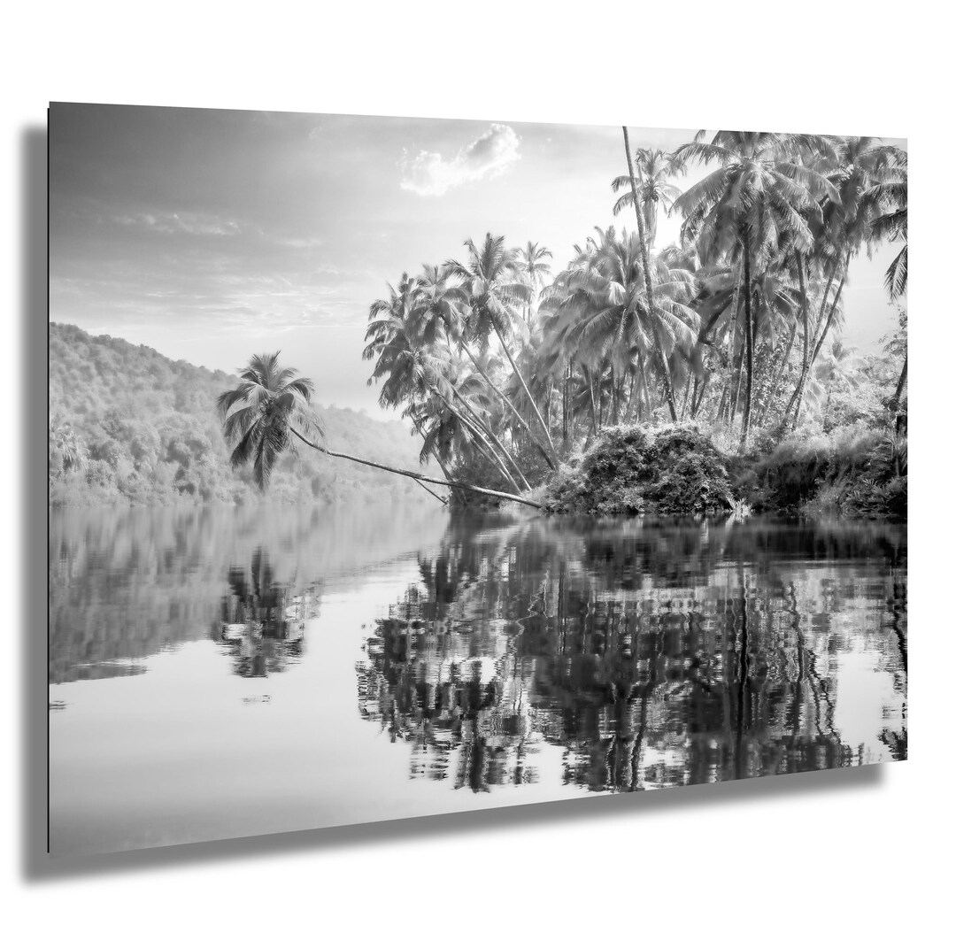 Tropical Coconut Palm Trees Over River - Black and White Print | Serene ...