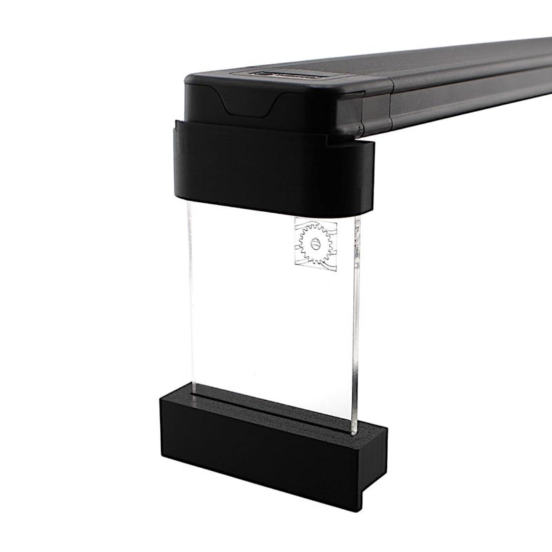 Freshwater Fish - Etsy