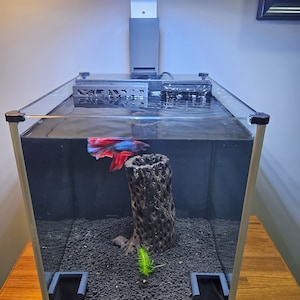 The Fluval III shown with Water Werks pre-filter, light riser and water control valve and waterfall outlet.