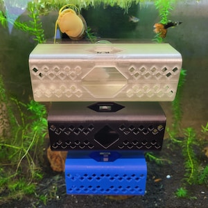 Betta, Garnelen und Pleco verstecken sich, Fischhaus, Aquariumdekor