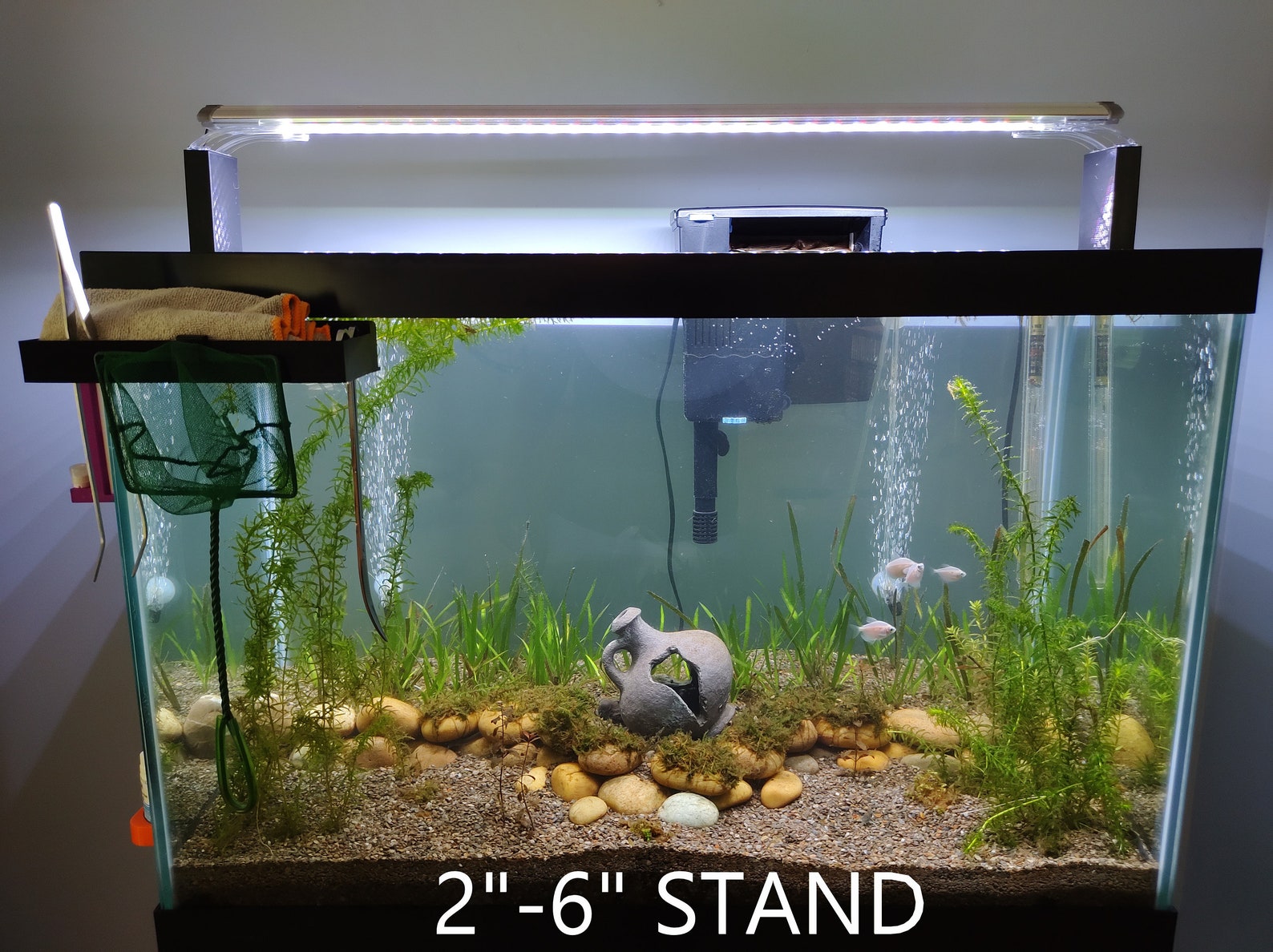 Finnex planted 24/7 ALC LED light riser set Aquarium light | Etsy