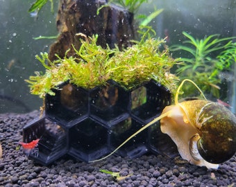 Escondite para camarones y tubo de cría