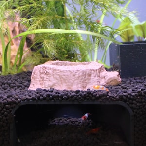 Premium Garnelen- und Fischhöhle, Dekoration für Garnelen und Fische. Schmerle und Panzerwels verstecken sich