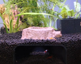 Premium Shrimp and Fish Cave, aquarium decor, Shelter for shrimp and fry. Loach and Cory catfish hide