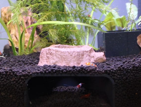 Premium Shrimp and Fish Cave, aquarium decor