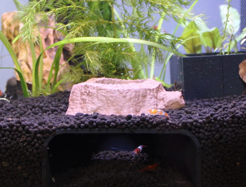 May include: A light brown ceramic fish tank decoration shaped like a log with a hollowed-out centre. The decoration is sitting on a bed of black gravel. There is a small orange and white shrimp swimming in the tank.
