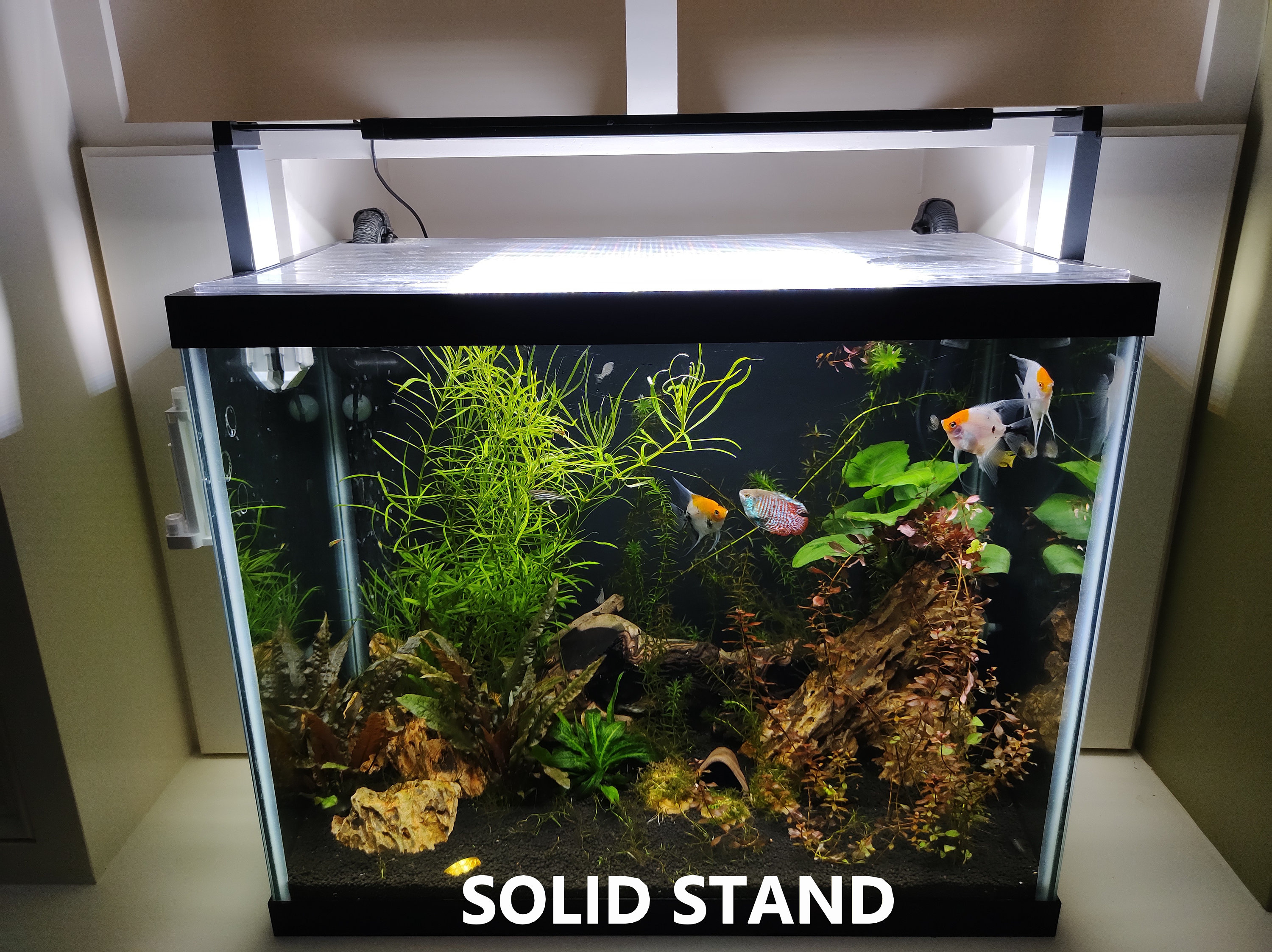 Fluval 3.0 Planted Light Stand Set LED stand Aquarium light Etsy