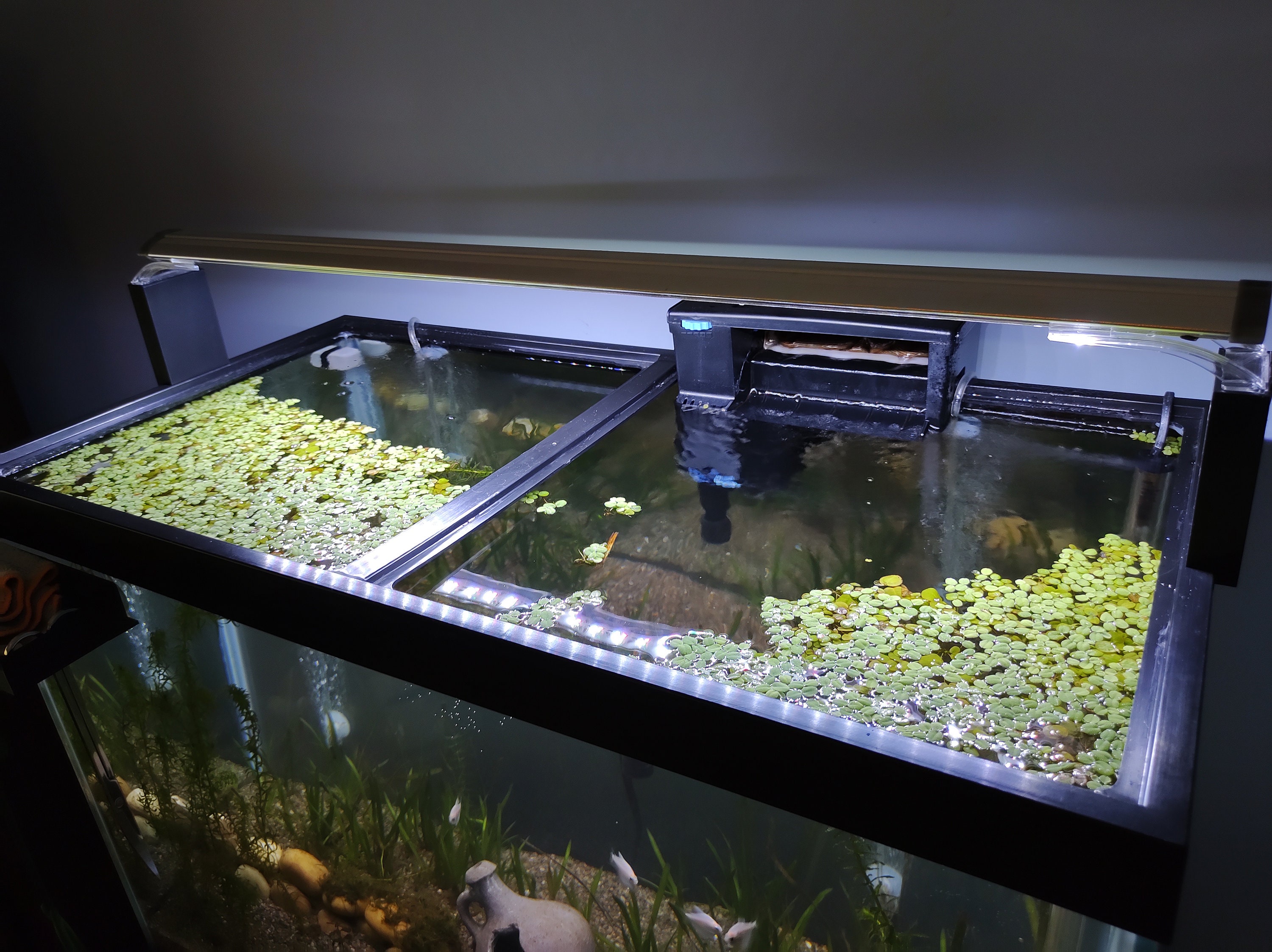 Finnex planted 24/7 ALC LED light riser set Aquarium light Etsy